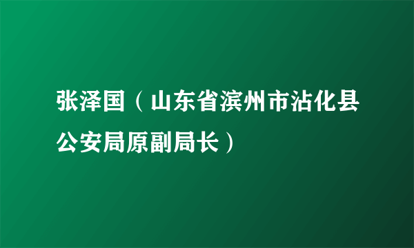 张泽国（山东省滨州市沾化县公安局原副局长）