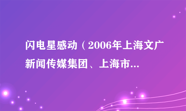 闪电星感动（2006年上海文广新闻传媒集团、上海市慈善基金会出品的慈善节目）