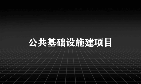 公共基础设施建项目