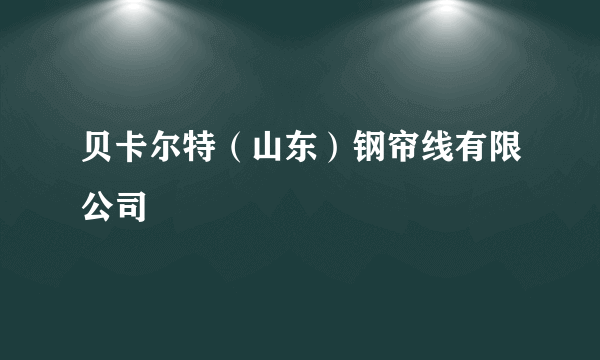 贝卡尔特（山东）钢帘线有限公司