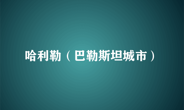 哈利勒（巴勒斯坦城市）