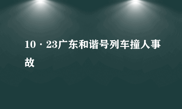 10·23广东和谐号列车撞人事故