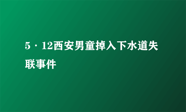 5·12西安男童掉入下水道失联事件