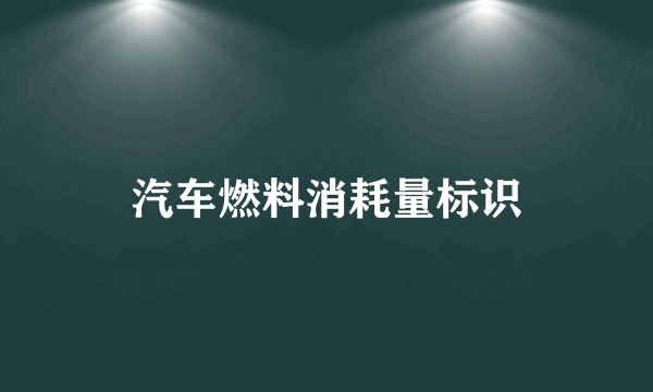 汽车燃料消耗量标识