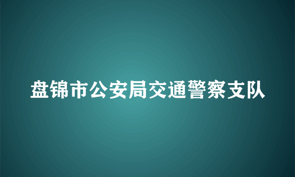 盘锦市公安局交通警察支队