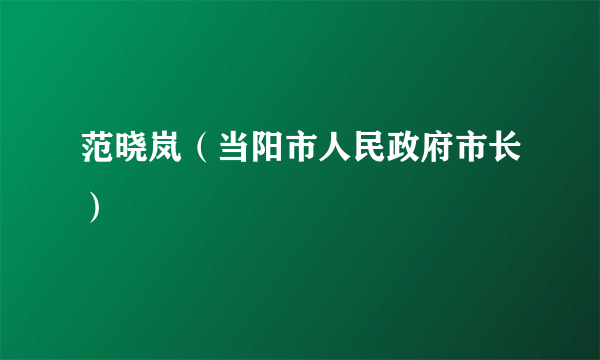 范晓岚（当阳市人民政府市长）