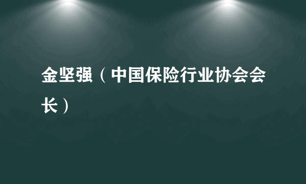 金坚强（中国保险行业协会会长）