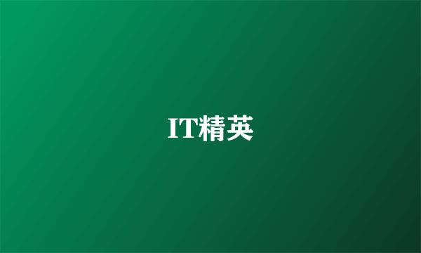 IT精英