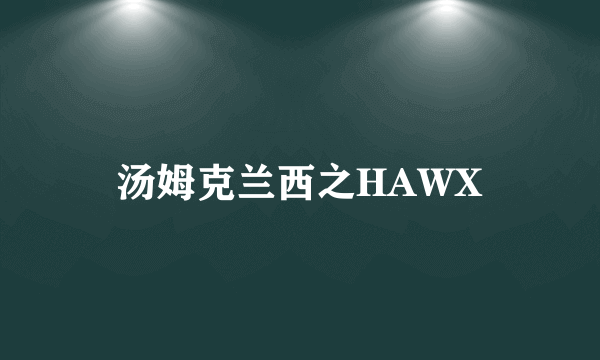 汤姆克兰西之HAWX