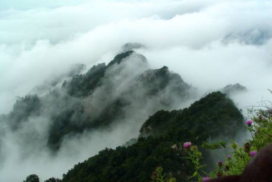 瘦狗岭（广州市天河区境内地名）