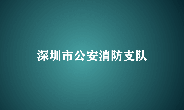 深圳市公安消防支队