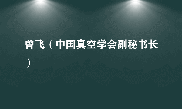 曾飞（中国真空学会副秘书长）