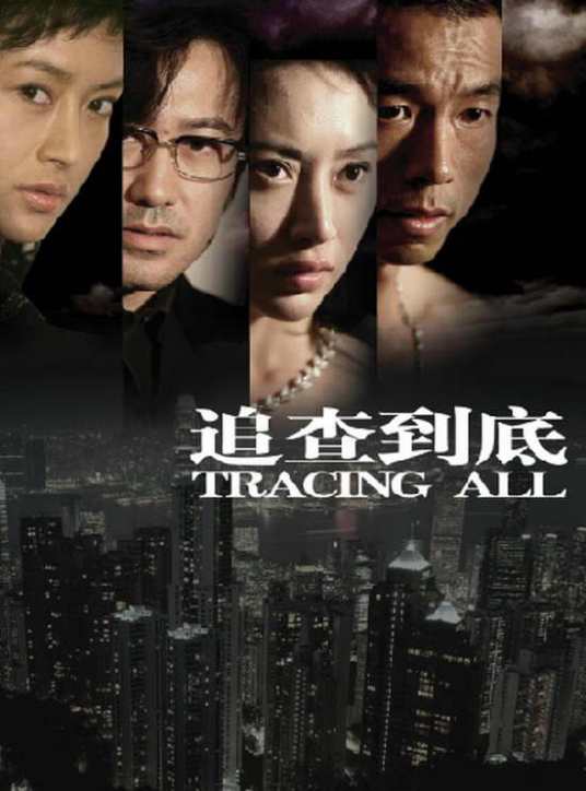 追查到底（2007年王挺主演的电视剧）