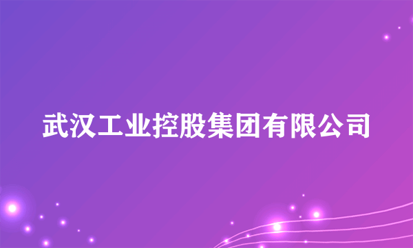 武汉工业控股集团有限公司