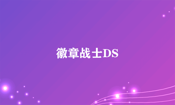 徽章战士DS