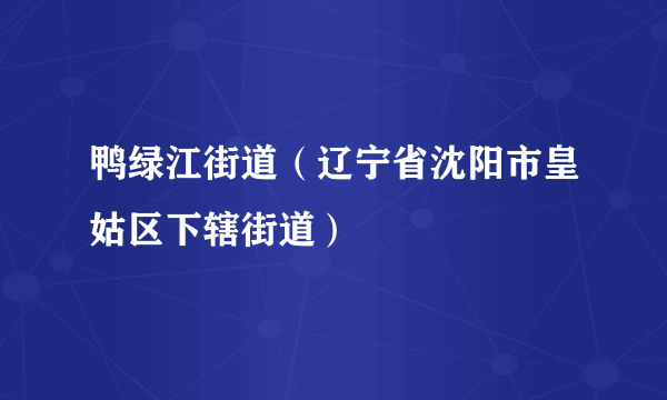 鸭绿江街道（辽宁省沈阳市皇姑区下辖街道）