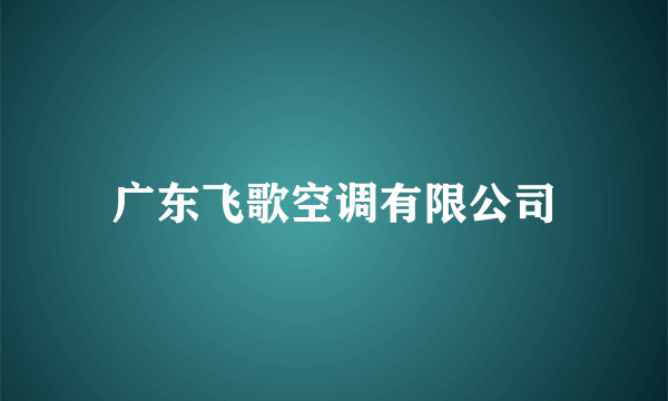 广东飞歌空调有限公司