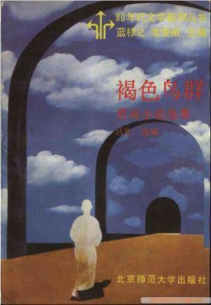 褐色鸟群（1989年北京师范大学出版社出版的图书）