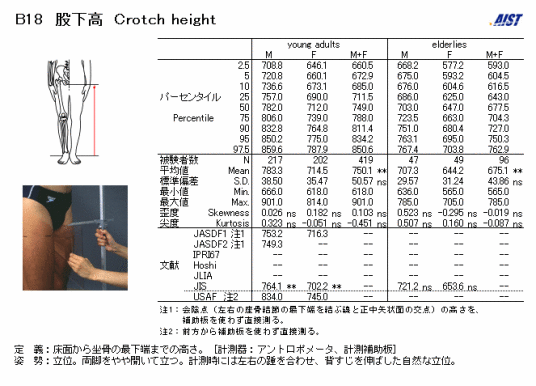 会阴高