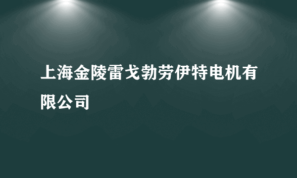 上海金陵雷戈勃劳伊特电机有限公司