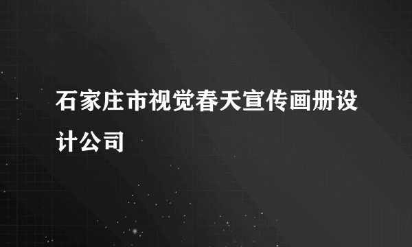 石家庄市视觉春天宣传画册设计公司