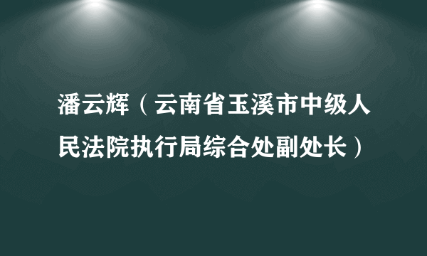 潘云辉（云南省玉溪市中级人民法院执行局综合处副处长）