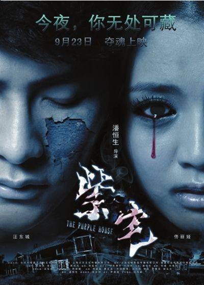 紫宅（2011年汪东城、佟丽娅主演电影）