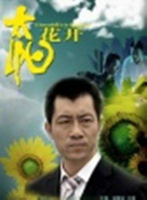 太阳花开（2007年吴祖云执导电影）