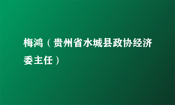 梅鸿（贵州省水城县政协经济委主任）