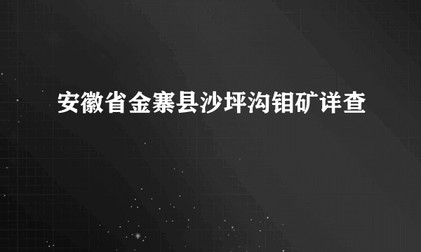 安徽省金寨县沙坪沟钼矿详查