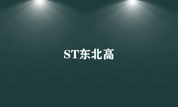 ST东北高