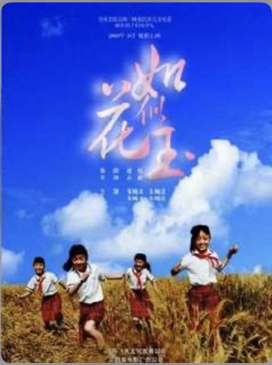 如花似玉（2009年高毅执导的剧情、儿童类电影）