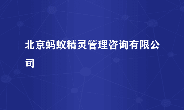 北京蚂蚁精灵管理咨询有限公司