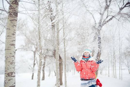 七瓣雪