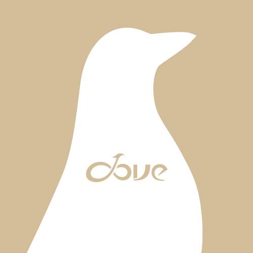 DOVE（广州吉他品牌）