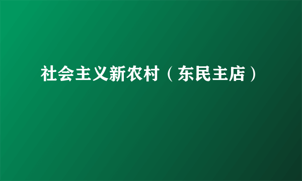 社会主义新农村（东民主店）