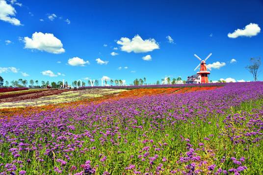 薰衣草庄园（杭州市薰衣草庄园）