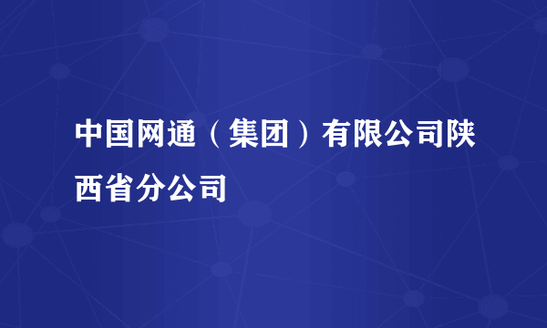 中国网通（集团）有限公司陕西省分公司