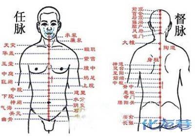 静树大师