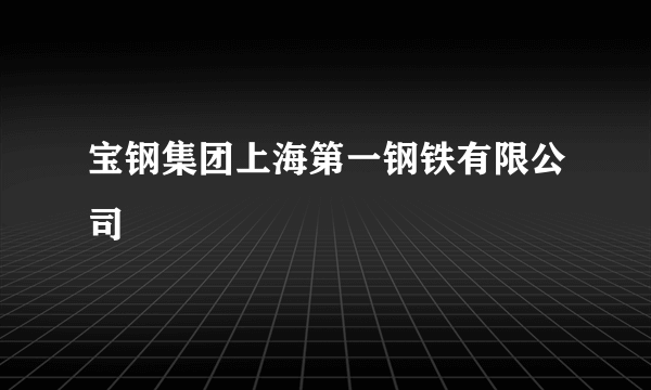 宝钢集团上海第一钢铁有限公司