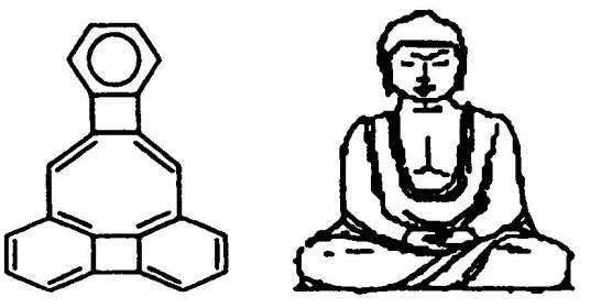 释迦牟尼分子