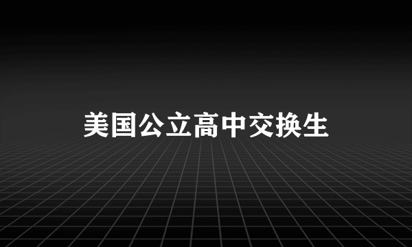 美国公立高中交换生