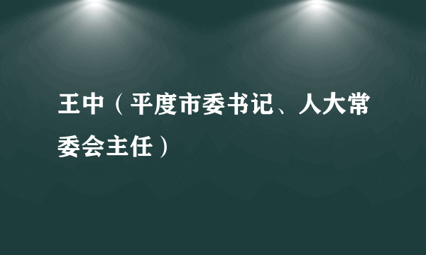 王中（平度市委书记、人大常委会主任）