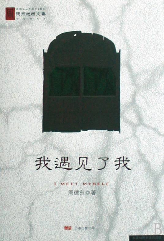 我遇见了我（2008年万卷出版公司出版的图书）