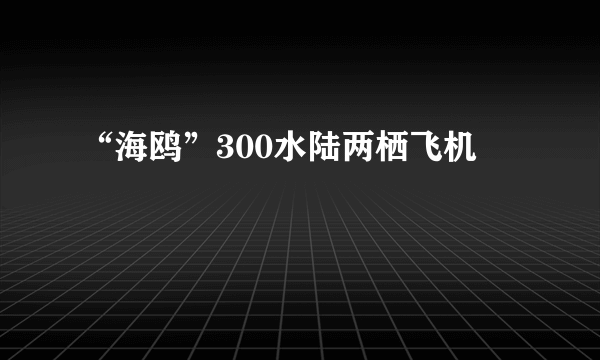 “海鸥”300水陆两栖飞机