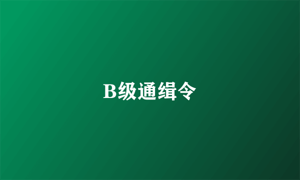 B级通缉令