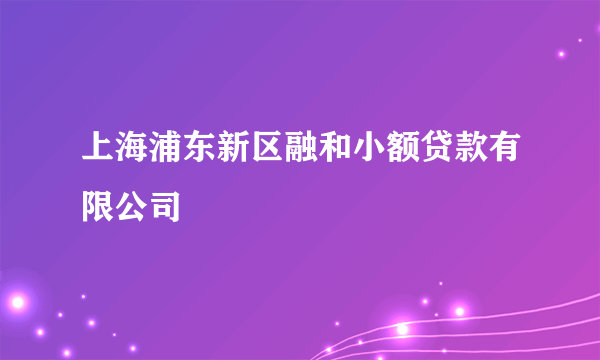 上海浦东新区融和小额贷款有限公司