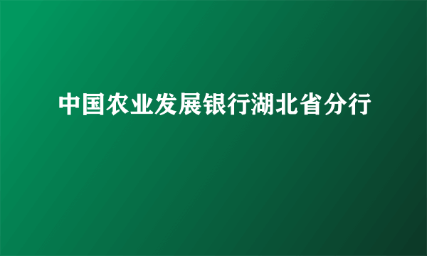 中国农业发展银行湖北省分行