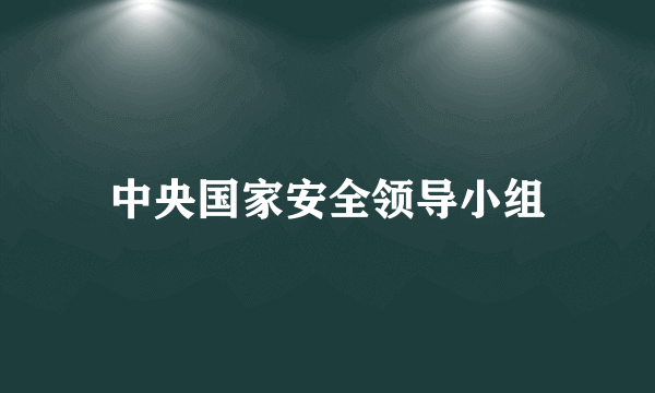 中央国家安全领导小组