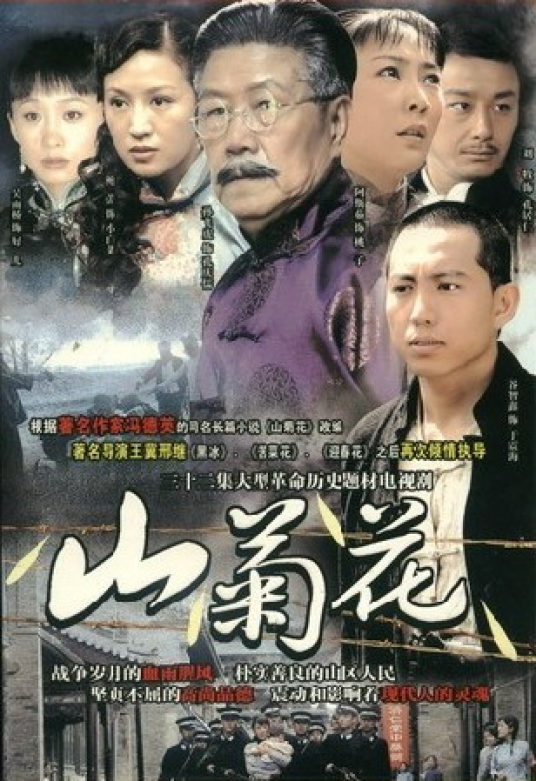 山菊花（2006年王冀邢执导电视剧）